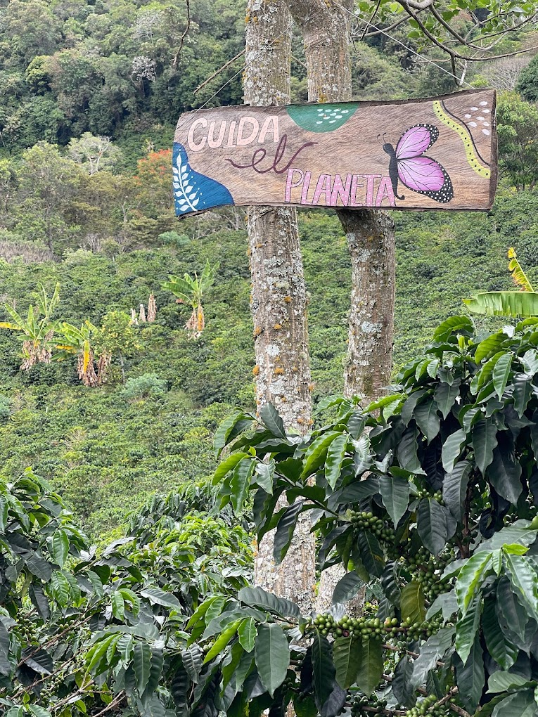 Finca Agroturística La María. Sendero cafetero