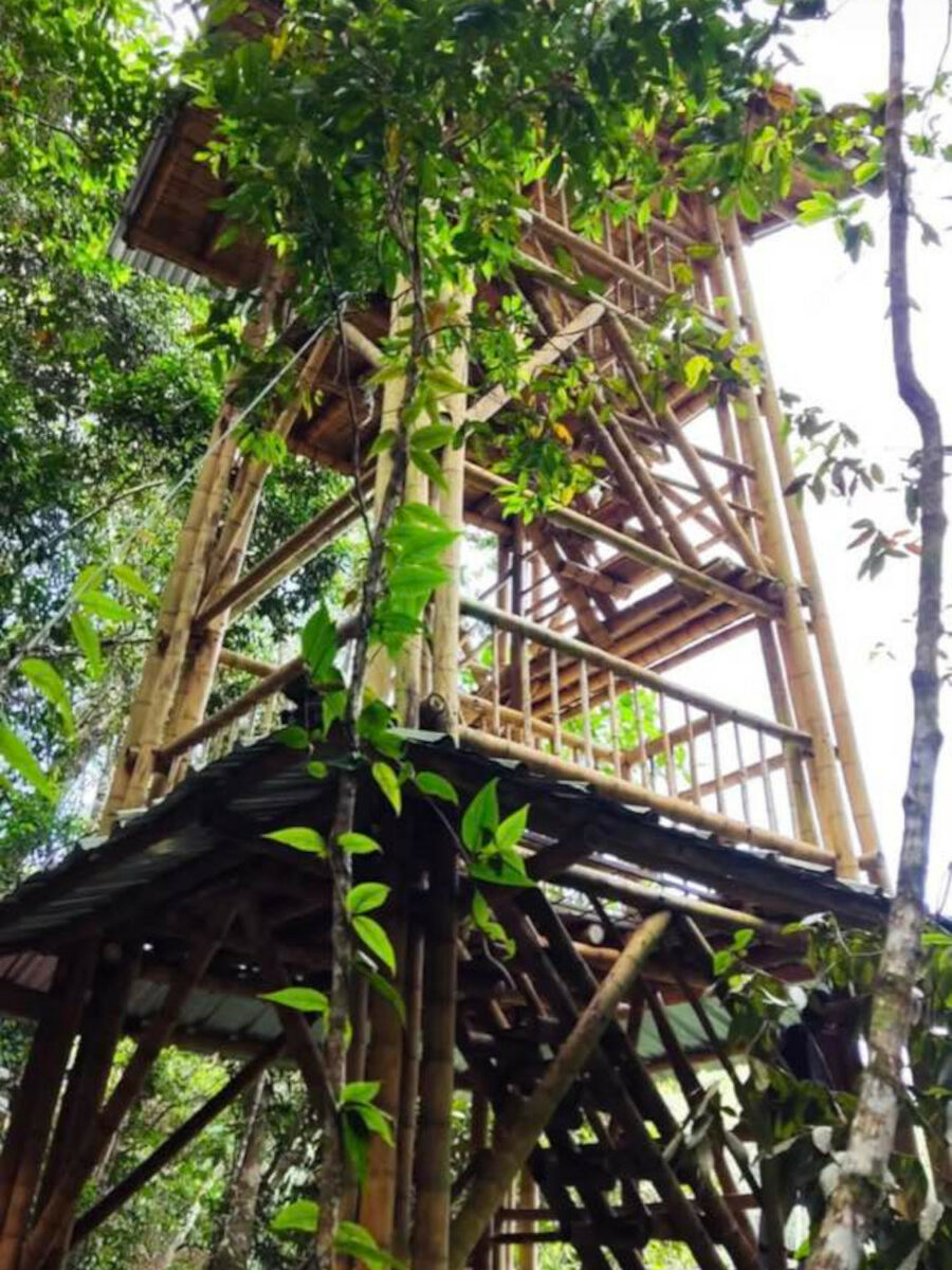 Finca Agroturística La María. Sendero Laguna humedal San Andrés