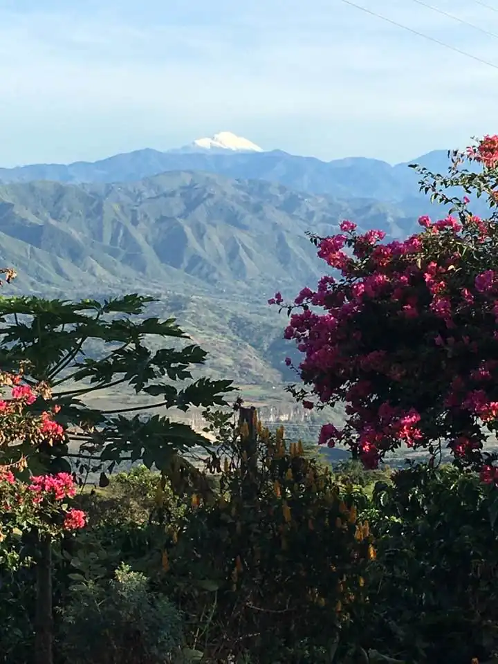 Paisaje cafetero de la Finca Agroturística La María en la Vereda La Morena, La Plata, Huila