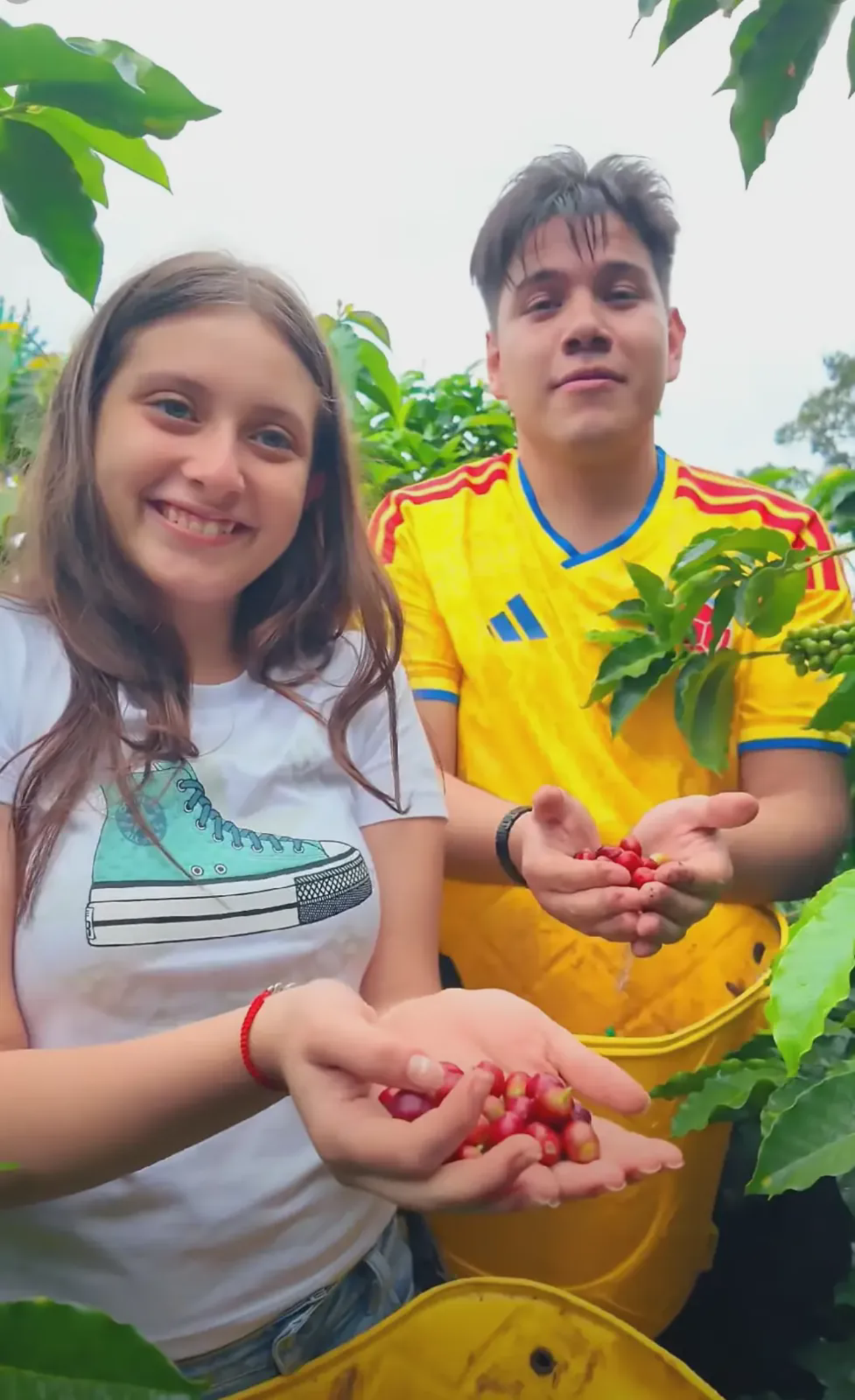 Visitantes con granos de café recién recogidos en la Finca La María, La Plata, Huila