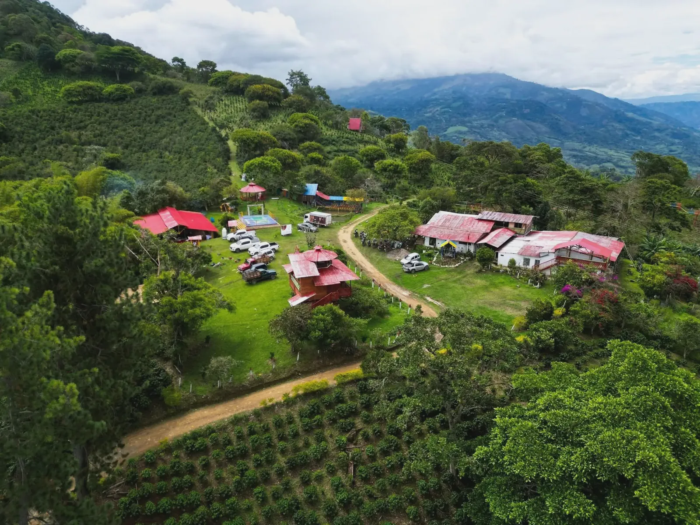 Vista aérea de la Finca Agroturística La María entre cafetales y montañas, Vereda La Morena