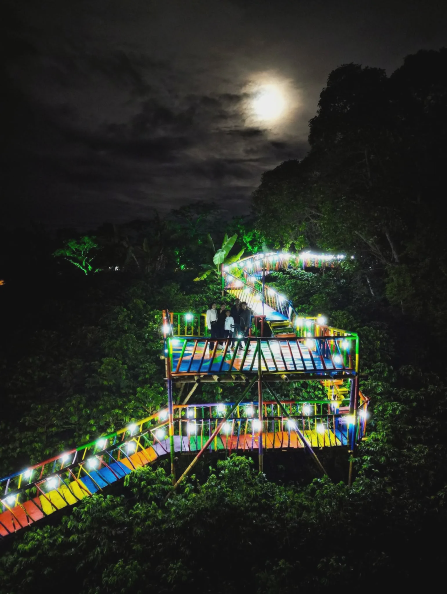 El Puente de los Colores iluminado de noche bajo la luna llena, rodeado de cultivos de caf&eacute; y naturaleza en la Finca Agrotur&iacute;stica La Mar&iacute;a en La Plata, Huila