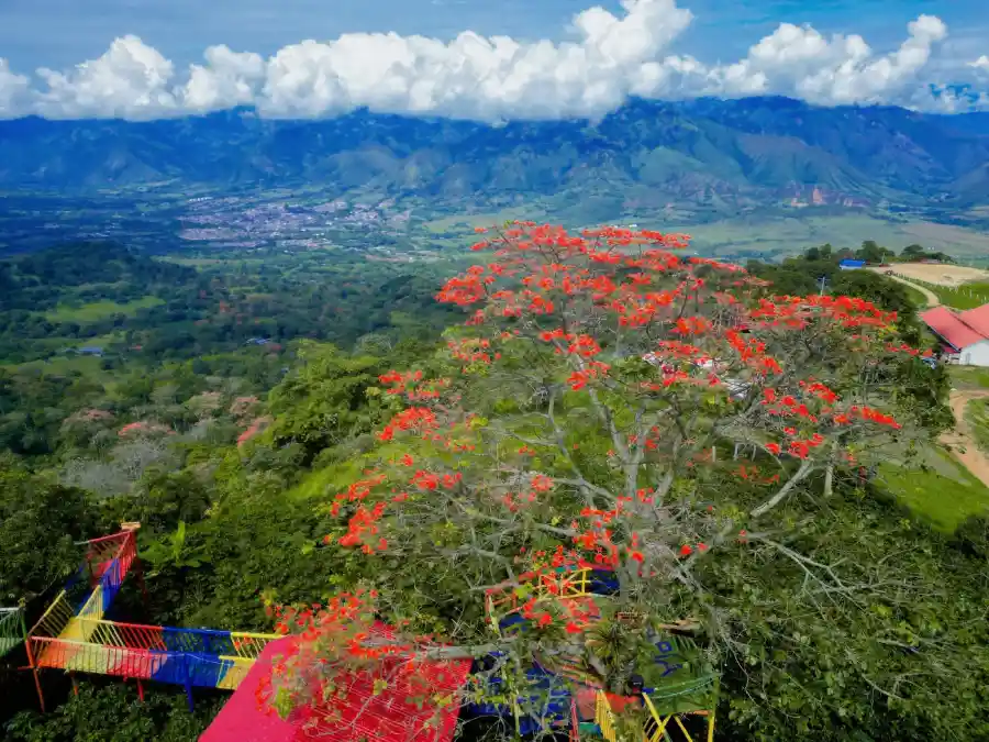 Qué Hacer en La Plata, Huila: Guía de Turismo, Cascadas y Naturaleza
