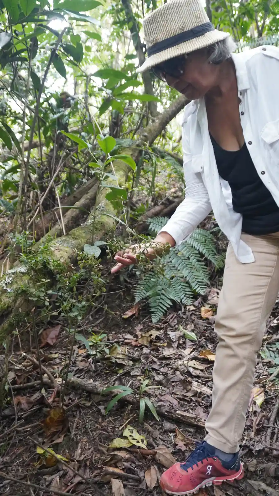 Turismo de Naturaleza en el Huila: Humedales, Aves y Senderos Ecológicos