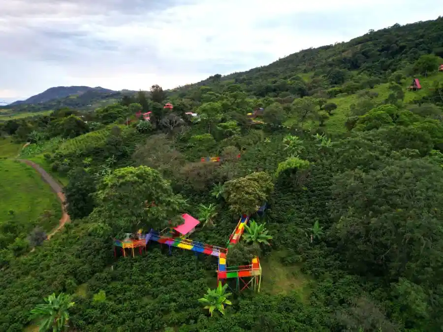 Ruta del Café en el Huila: Itinerario de 3 Días por el Paraíso Cafetero