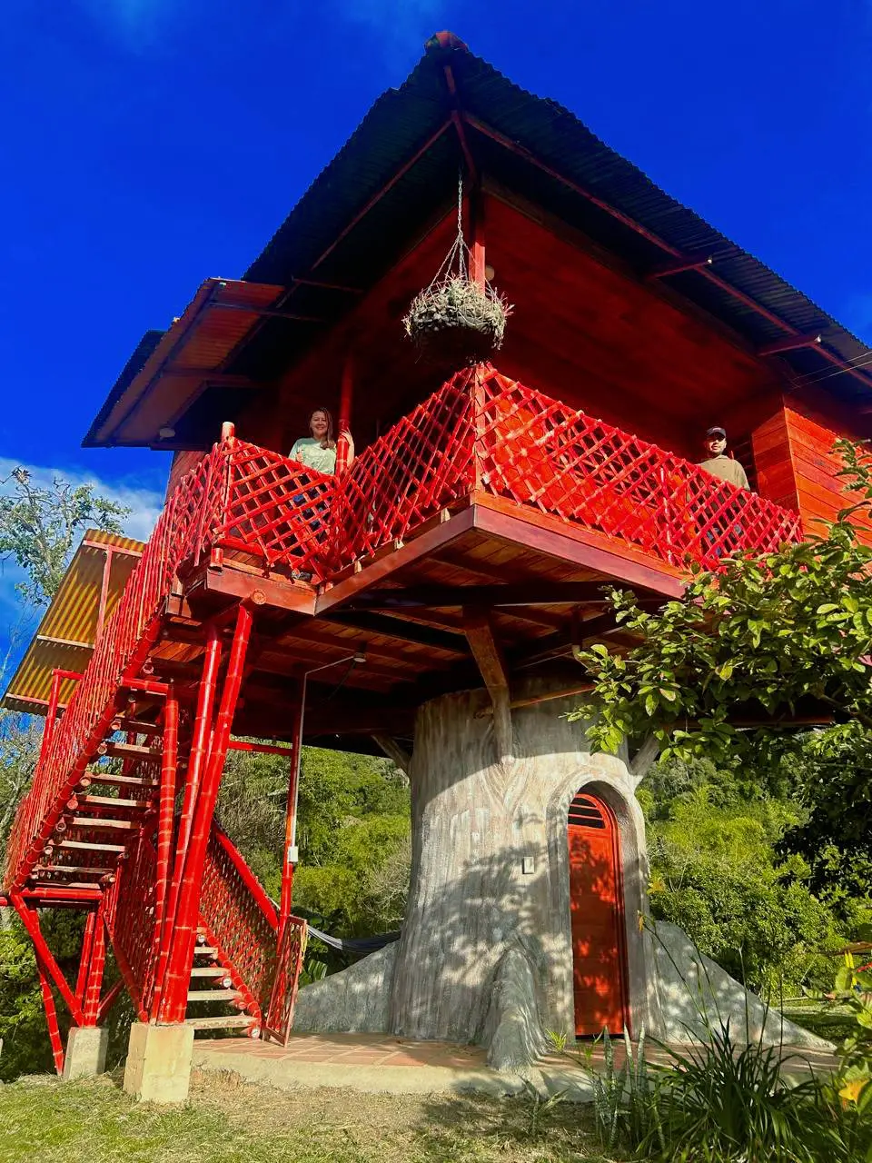 Glamping y Cabaña en el Árbol en La Plata, Huila: El Refugio Ideal para Parejas y Familias