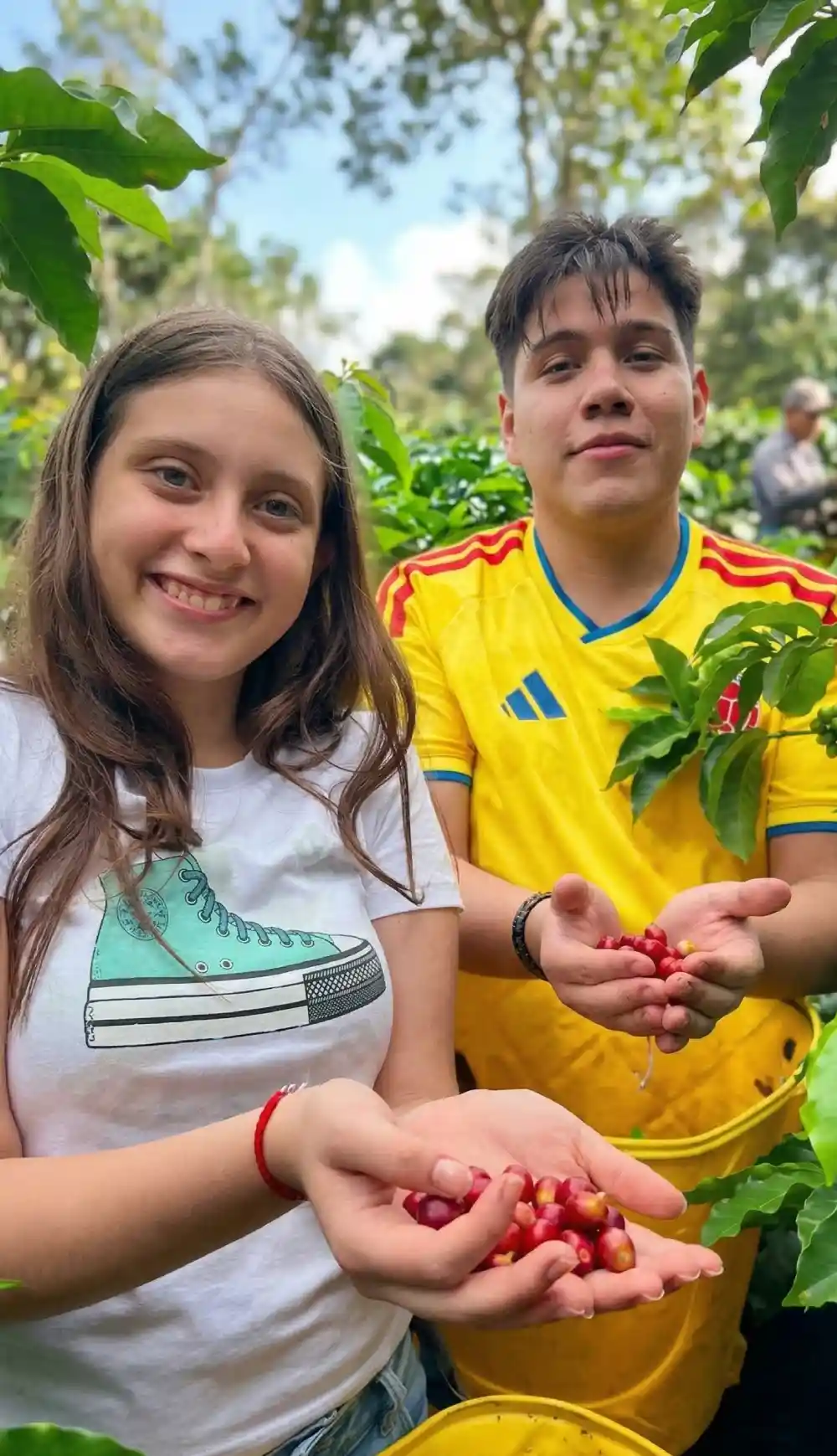 Más allá de la taza: La guía definitiva del Turismo de Café en el Huila