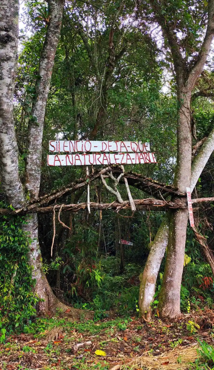 Senderismo Ecológico a la Laguna San Andrés: Ruta desde La Plata