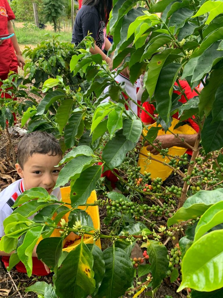 Finca Agroturística La María. Recolección. Visita con niños.