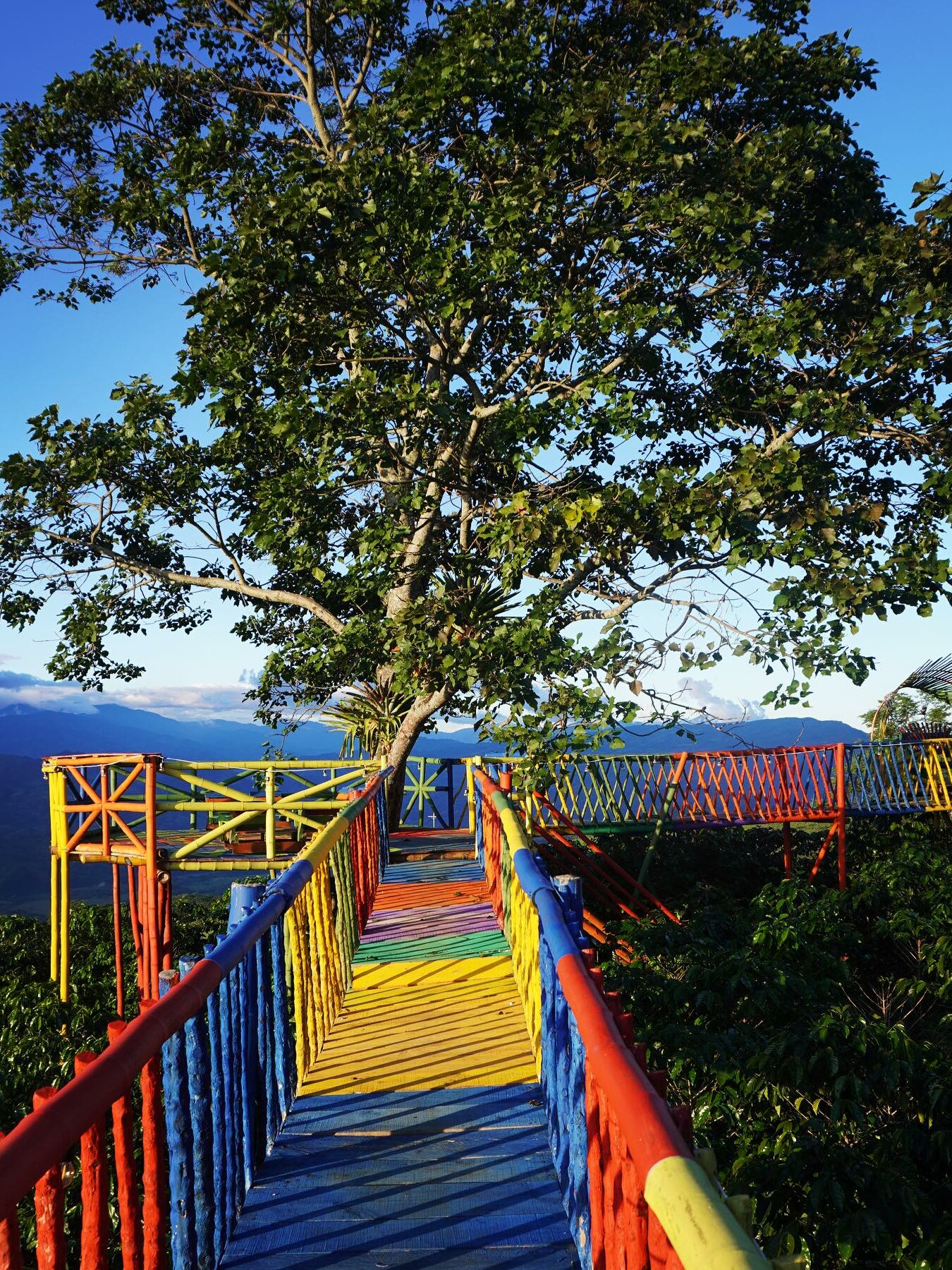 Finca Turística La María. Puente sobre los cafetales, Mirador, Spot fotográfico. Vista. Atardecer. 